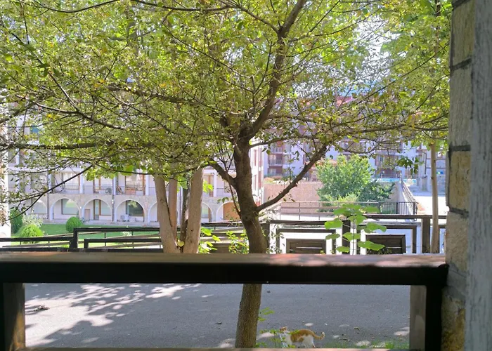 Wild Deer דירה *